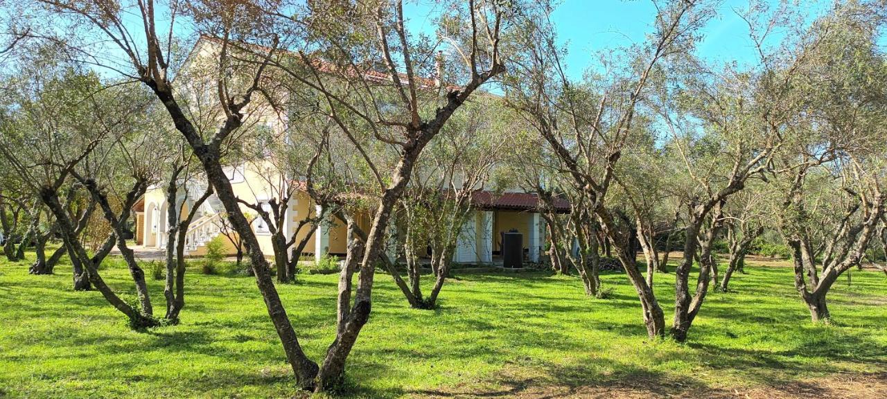 Antonios Olive Garden Acharavi Kerkyra Leilighet Eksteriør bilde
