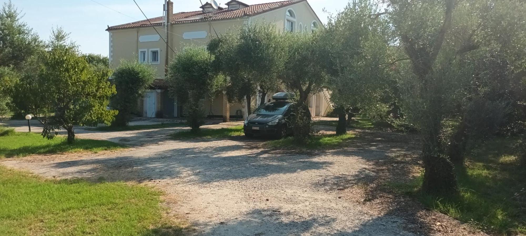 Antonios Olive Garden Acharavi Kerkyra Leilighet Eksteriør bilde